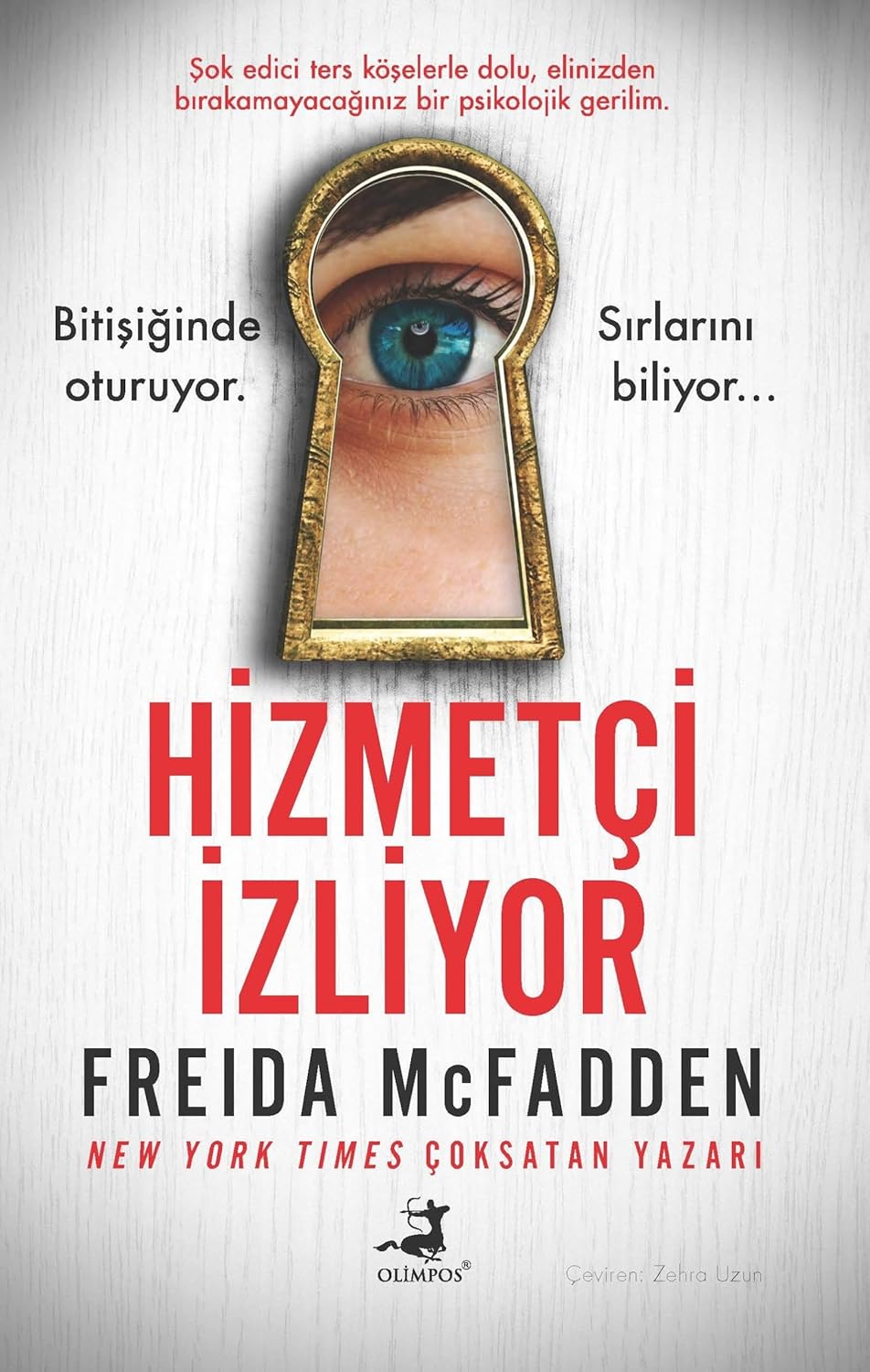 Freida Mcfadden «Hizmetçi İzliyor»  pdf indir