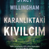 «Karanlıktaki Kıvılcım» Stacy Willingham